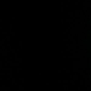 Meet your Posher, Toya